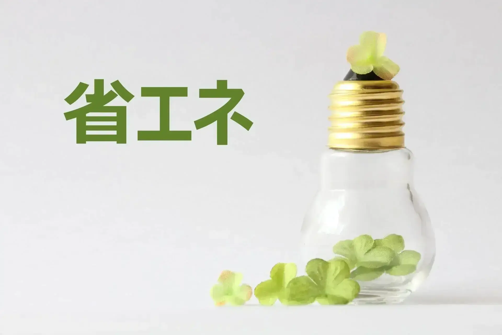 省エネを象徴する植物電球